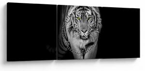 Kép - Sárga szemű tigris (órával) (90x30 cm)