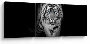Kép - Tigris kék szemekkel (órával) (90x30 cm)