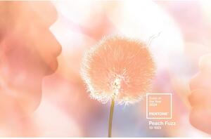 Narancssárga kerámia eszpresszó bögre 120 ml Peach Fuzz 13-1023 – Pantone