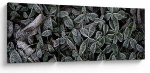 Kép - Fagyasztott növények (órával) (90x30 cm)