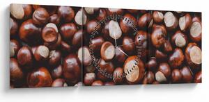 Kép - Érett gesztenye (órával) (90x30 cm)