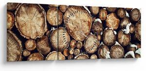 Kép - Fa a hóban (órával) (90x30 cm)