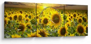Kép - Napraforgók naplementében (órával) (90x30 cm)