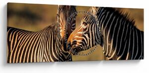 Kép - Két zebra (órával) (90x30 cm)