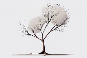 Kép minimalista fa levelek nélkül