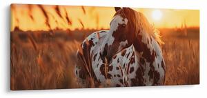 Kép - Ló naplementében (120x50 cm)