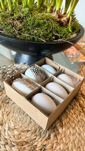 Akasztható tollas húsvéti tojás készlet, szürke/barna, 6db