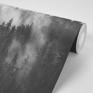 Öntapadó fotótapéta hegyek a ködben fekete fehérben