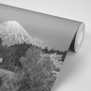 Fotótapéta Fuji hegy fekete fehérben