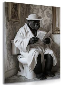 Kép gorilla újsággal a WC-n
