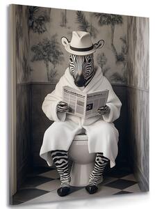 Kép zebra újsággal a WC-n