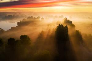 Fotográfia Beautiful misty dawn in the spring, Anton Petrus