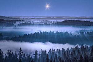Fotográfia Beautiful foggy forest, Aulanko, Hameenlinna, Finland, Milamai