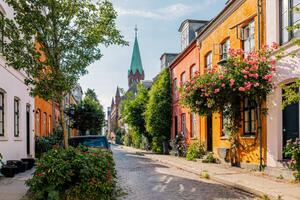 Fotográfia Charming street with residential houses and, Alexander Spatari