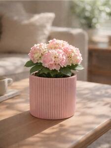 Sinsay - Bordázott kerámia virágcserép - pasztellpink
