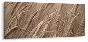 Kép - Az arany mező (120x50 cm)