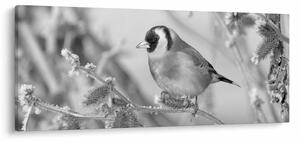 Kép - Egy madár télen (120x50 cm)