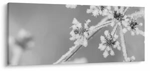 Kép - Fagyasztott növény (120x50 cm)