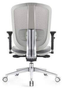 Silver ergonomikus forgószék, állítható ülésmélység, deréktámasz, szürke hálós