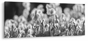 Kép - Nyári rét (120x50 cm)
