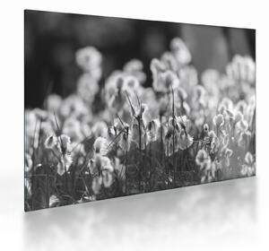 Üveg kép - Nyári rét (70x50 cm)
