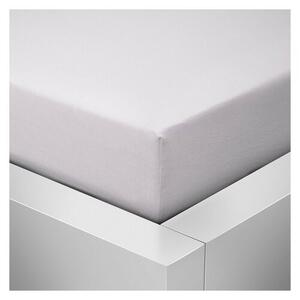 Jersey Standard lepedő fehér, 90 x 200 cm , 90 x 200 cm