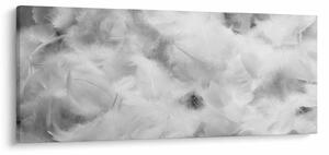 Kép - Színű tollfelhők (120x50 cm)