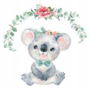 Aranyos koala falmatrica