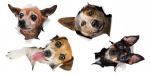 Egyedi falmatrica kutyabarátoknak 60 x 120 cm