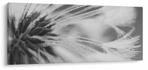 Kép - Pitypang (120x50 cm)