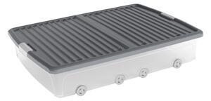Fedeles műanyag ágy alatti tárolódoboz 79x58x16,5 cm W box underbed XL – KIS