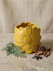 Sinsay - Illatgyertya Cedarwood & Cypress - mustársárga