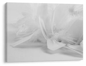 Kép - Tollak (70x50 cm)