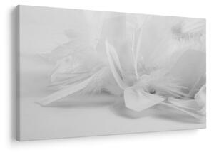 Kép - Tollak (90x60 cm)