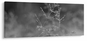 Kép - Vidéki rét (120x50 cm)