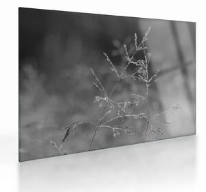 Üveg kép - Vidéki rét (70x50 cm)