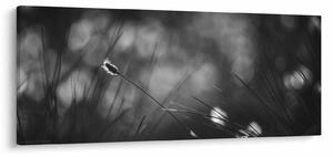 Kép - Mezei fű (120x50 cm)