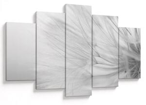 Kép - Pitypang (150x105 cm)