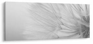 Kép - Pitypang (120x50 cm)