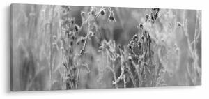 Kép - Wild Meadow (120x50 cm)