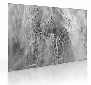 Üveg kép - Wild Meadow (70x50 cm)