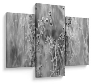 Kép - Wild Meadow (90x60 cm)