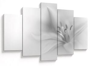 Kép - Delicate Lily (150x105 cm)