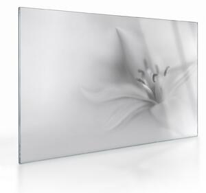 Üveg kép - Delicate Lily (70x50 cm)