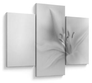 Kép - Delicate Lily (90x60 cm)