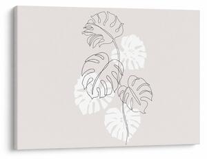 Kép - Vonalkép monstera N⁰3 (70x50 cm)