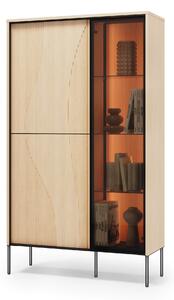 Könyvespolc Elinolo 100, Zárt, Ajtókkal, Üveg, Közepes sűrűségű farostlemez, Laminált forgácslap, 157x92x34cm, Tölgy, Fekete