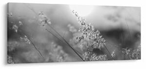 Kép - Őszi rét (120x50 cm)