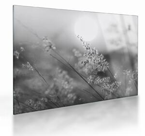 Üveg kép - Őszi rét (70x50 cm)