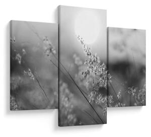 Kép - Őszi rét (90x60 cm)